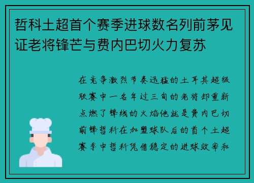 哲科土超首个赛季进球数名列前茅见证老将锋芒与费内巴切火力复苏